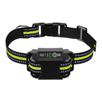 Preview: Patpet B600