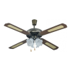 Fan Logo