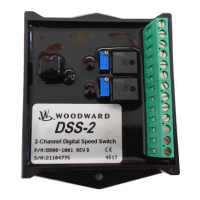 Preview: Woodward DSS-2
