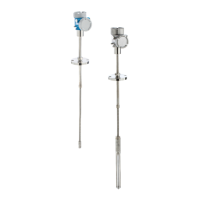 Preview: Endress+Hauser Prothermo NMT81