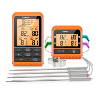 Preview: ThermoPro TP829B