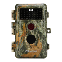 Preview: BlazeVideo A252