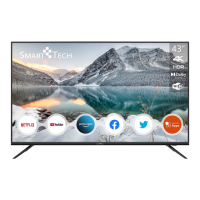 Preview: Smarttech SMT43F30UV2M1B1