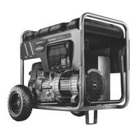 Preview: Briggs & Stratton 8250