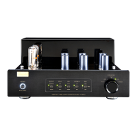 Preview: Cayin CS-6 PH