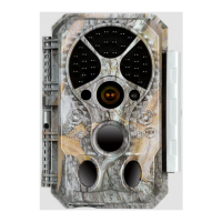 Preview: BlazeVideo A350W