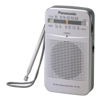 Preview: Panasonic RF-P50