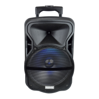 Preview: Karma PSB 12
