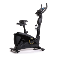 Preview: Zipro Rook Gold