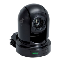 Preview: birddog NDI P200