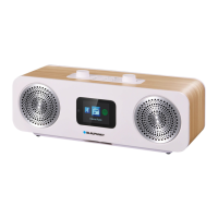 Preview: Blaupunkt IR50DAB