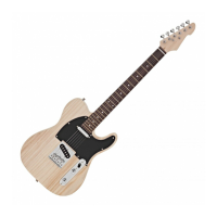 Preview: Gear4music Guitar Works 175955