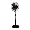 Fan Logo