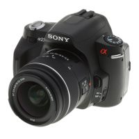 Preview: Sony DSLR-A230