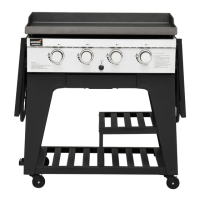 Preview: Mustang BBQ PARILA