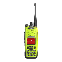 Preview: Tait TP9500