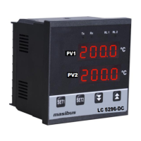 Preview: Masibus LC5296 DC