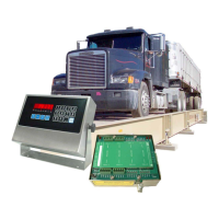 Preview: Western Scale M2000