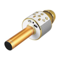 Preview: Mania WS-858