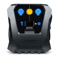Preview: Michelin DPS