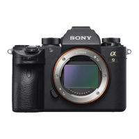 Preview: Sony ILCE-9