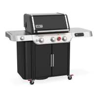 Preview: Weber GENESIS SMART EX-335