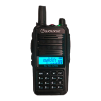 Preview: Wouxun KG-916 GMRS