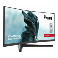 Preview: Iiyama G-Master GB3467WQSU