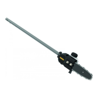 Preview: DeWalt DCMASPS5