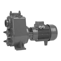 Preview: SAER Elettropompe AP Series