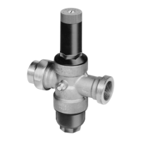 Preview: Honeywell Braukmann D06G