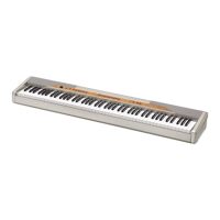 Preview: Casio PX-110