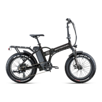 Preview: Bottecchia PITBULL BE01