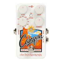 Preview: Electro-Harmonix Canyon