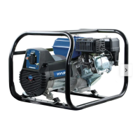 Preview: Hyundai PT3900-JY