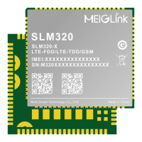 Preview: MEIG SLM 320