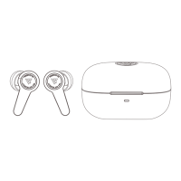 Preview: LYPERTEK PUREPLAY Z5