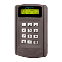 Preview: Pegasus PP-6750V Series