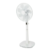Fan Logo