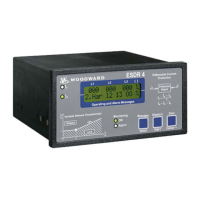 Preview: Woodward ESDR 4T