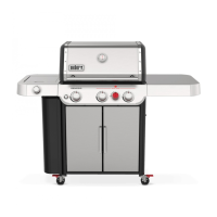 Preview: Weber GENESIS E-335