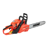 Preview: Echo CS-310
