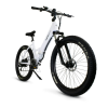 Bicycle Logo
