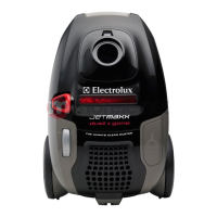 Preview: Electrolux JETMAXX dust & gone