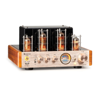 Preview: auna Amp VT