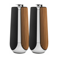 Preview: Bang & Olufsen BeoLab 50