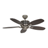 Fan Logo