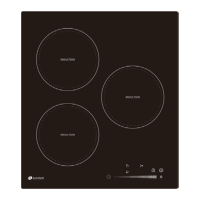 Preview: ALLENZI PI3020T