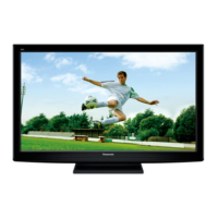 Preview: Panasonic TH-P42X20K