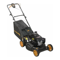 Preview: Poulan Pro PR160Y22RP